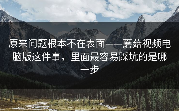 原来问题根本不在表面——蘑菇视频电脑版这件事，里面最容易踩坑的是哪一步