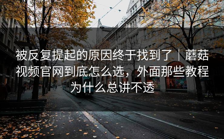 被反复提起的原因终于找到了｜蘑菇视频官网到底怎么选，外面那些教程为什么总讲不透