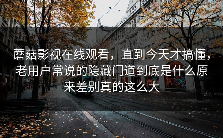 蘑菇影视在线观看，直到今天才搞懂，老用户常说的隐藏门道到底是什么原来差别真的这么大