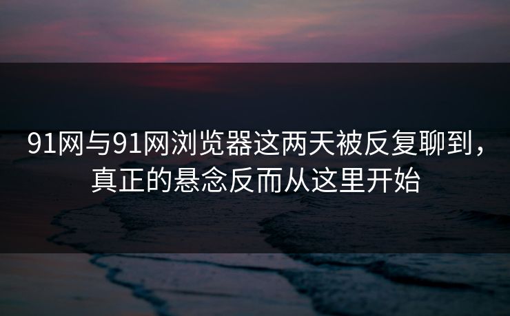 91网与91网浏览器这两天被反复聊到，真正的悬念反而从这里开始