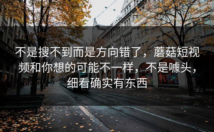 不是搜不到而是方向错了，蘑菇短视频和你想的可能不一样，不是噱头，细看确实有东西