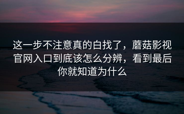 这一步不注意真的白找了，蘑菇影视官网入口到底该怎么分辨，看到最后你就知道为什么