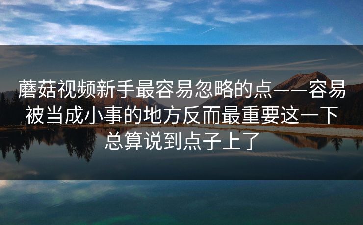 蘑菇视频新手最容易忽略的点——容易被当成小事的地方反而最重要这一下总算说到点子上了