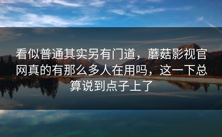 看似普通其实另有门道，蘑菇影视官网真的有那么多人在用吗，这一下总算说到点子上了