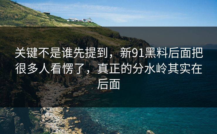 关键不是谁先提到，新91黑料后面把很多人看愣了，真正的分水岭其实在后面