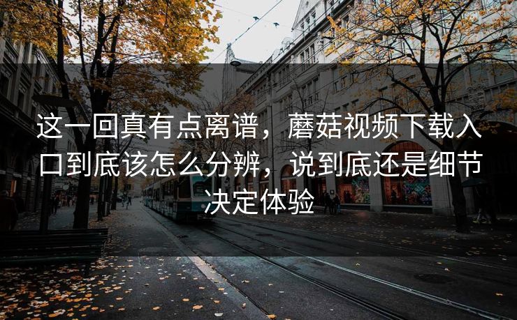 这一回真有点离谱，蘑菇视频下载入口到底该怎么分辨，说到底还是细节决定体验