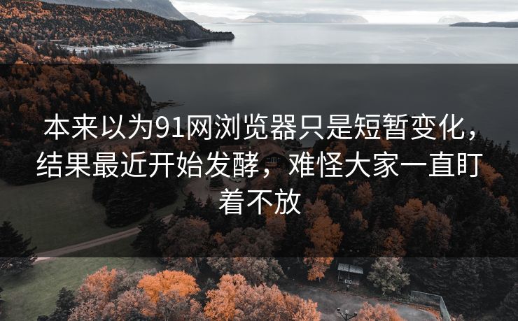 本来以为91网浏览器只是短暂变化,结果最近开始发酵,难怪大家一直盯着不放 本来以为91网浏览器只是短暂变化,结果最近开始发酵,难怪大家一直盯着不放